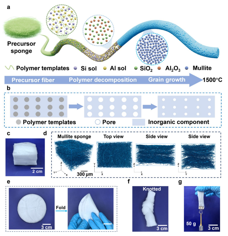 朱美芳院士、武培怡教授、汪晓巧教授等人发表3篇“高性能纤维”顶刊文章！